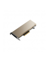 PNY NVIDIA A2 16GB 128-bit GDDR6 Low-profile single slot passive - nr 4
