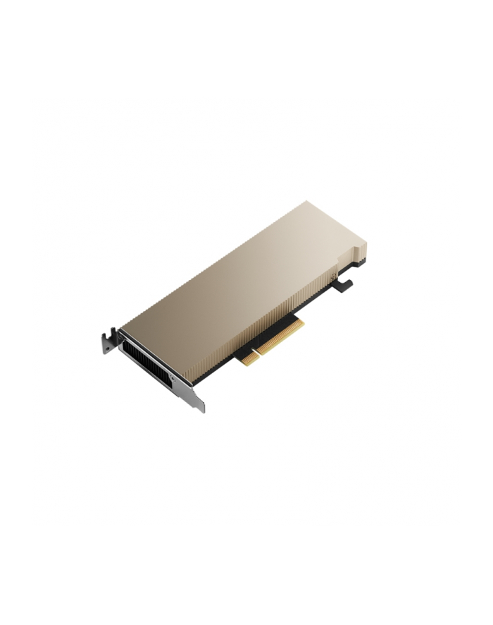 PNY NVIDIA A2 16GB 128-bit GDDR6 Low-profile single slot passive główny