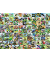 Puzzle 300el 99 zachwycających ptaków 169375 RAVENSBURGER - nr 3