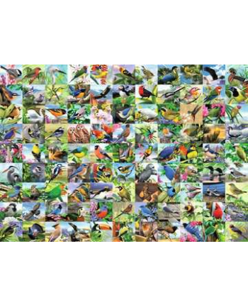 Puzzle 300el 99 zachwycających ptaków 169375 RAVENSBURGER