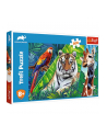 Puzzle 300el Niesamowite zwierzęta. Animal Planet 23007 Trefl - nr 1