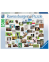 Puzzle 1500el Zabawne zwierzęta 167111 RAVENSBURGER - nr 1