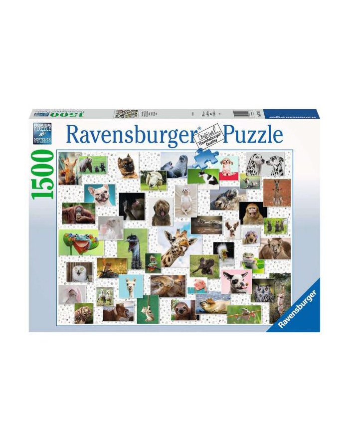 Puzzle 1500el Zabawne zwierzęta 167111 RAVENSBURGER główny