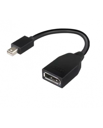 lenovo Adapter Mini-DisplayPort to DisplayPort Adapter 4X90L13971