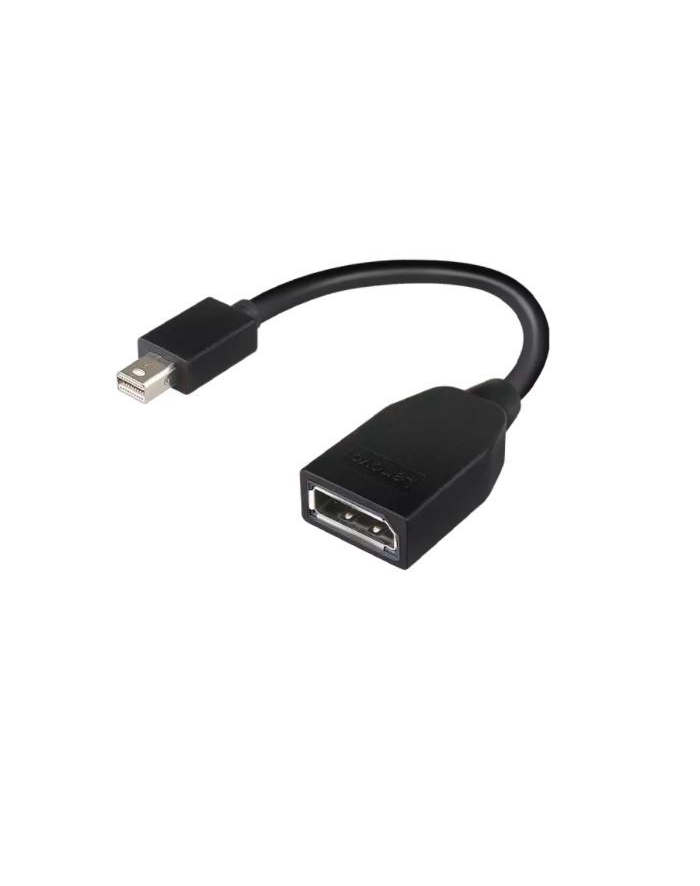 lenovo Adapter Mini-DisplayPort to DisplayPort Adapter 4X90L13971 główny