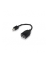 lenovo Adapter Mini-DisplayPort to DisplayPort Adapter 4X90L13971 - nr 2