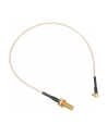 Kabel MMCX to RPSMA Pigtail 260mm ACMMCXRPSMA - nr 14