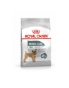 Karma ROYAL CANIN CCN Mini Dental Adult 3kg - nr 1