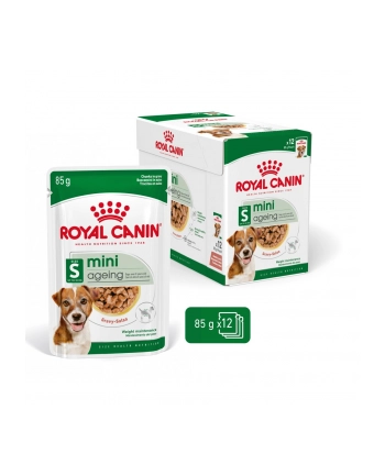 Karma ROYAL CANIN SHN Mini Ageing 12+ 12x85g