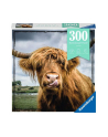 Puzzle 300el Momenty Szkocka krowa 132737 RAVENSBURGER - nr 1