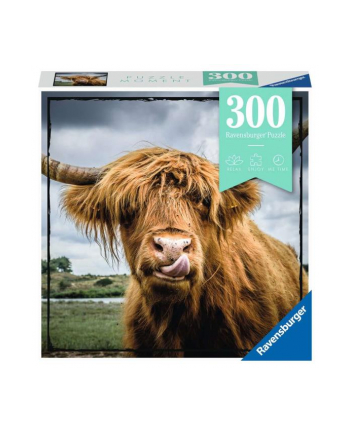 Puzzle 300el Momenty Szkocka krowa 132737 RAVENSBURGER