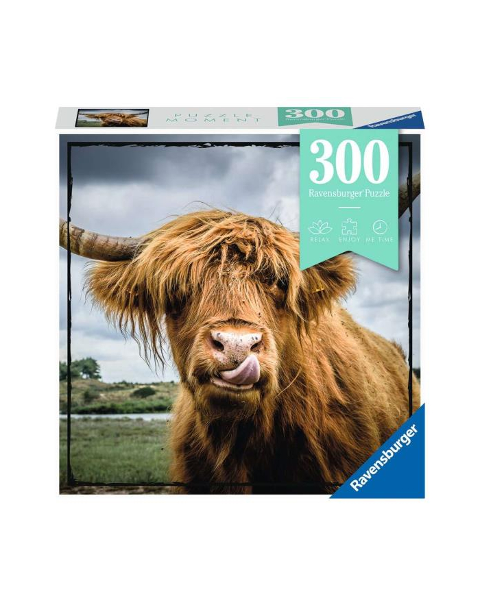 Puzzle 300el Momenty Szkocka krowa 132737 RAVENSBURGER główny