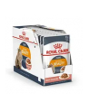 Karma Royal Canin Intense Beauty w sosie 12x85G - nr 1