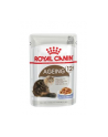 ROYAL CANIN FHN Ageing 12+ w galaretce - mokra karma dla kota starszego - 12x85g - nr 1