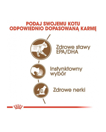 ROYAL CANIN FHN Ageing 12+ w galaretce - mokra karma dla kota starszego - 12x85g