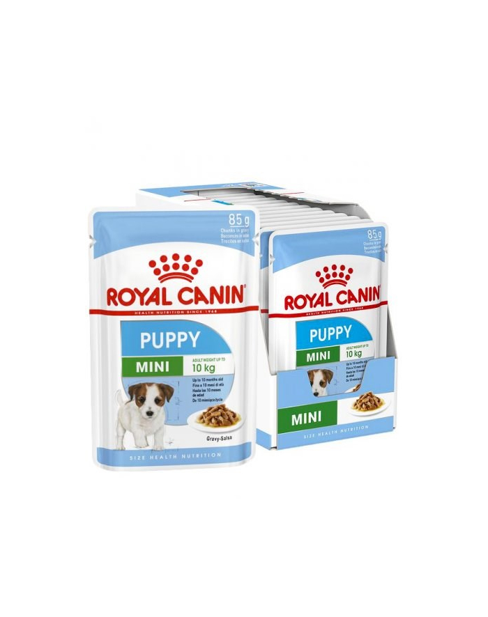 ROYAL CANIN SHN Mini Puppy w sosie - mokra karma dla szczeniąt - 12X85g główny