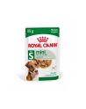 Karma ROYAL CANIN SHN Mini Adult w sosie 12X85G - nr 2