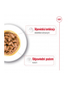 Karma ROYAL CANIN SHN Mini Ageing 12+ 12x85g - nr 6