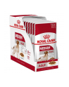 ROYAL CANIN SHN Medium Adult w sosie - mokra karma dla psa dorosłego - 10x140g - nr 1
