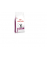 royal canin Early Renal Cat Dry 15kg - nr 1