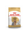 Karma ROYAL CANIN BHN Yorkshire Terrier Adult 3kg - nr 1
