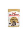 ROYAL CANIN Maine Coon - saszetka 12x85g - nr 4