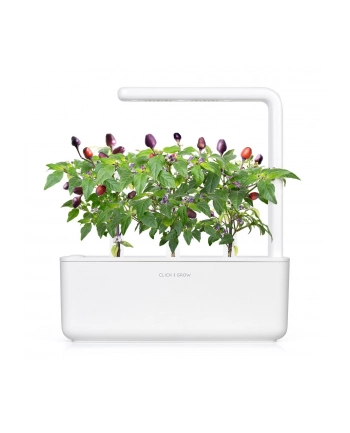 click and grow Click'Grow Kapsułki z nasionami Smart Soil Purpurowe Chili 3pak
