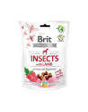 Przysmak Brit Care Dog Insect'Lamb 200g - nr 1