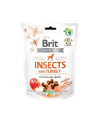 Przysmak Brit Care Dog Insect'Turkey 200g - nr 1