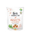 Przysmak Brit Care Dog Insect'Salmon 200g - nr 1