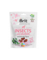 Przysmak Brit Care Dog Insect'Salmon 200g - nr 2