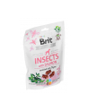 Przysmak Brit Care Dog Insect'Salmon 200g - nr 3