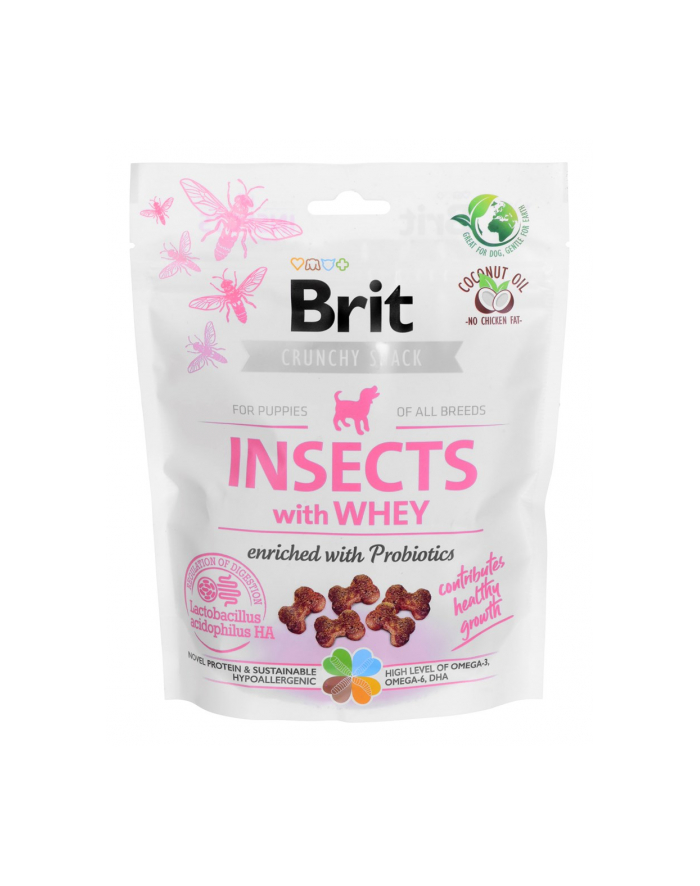 Przysmak Brit Care Dog Puppy Insect 200g główny