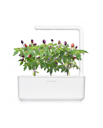 click and grow Click'Grow Kapsułki z nasionami Smart Soil Purpurowe Chili 3pak