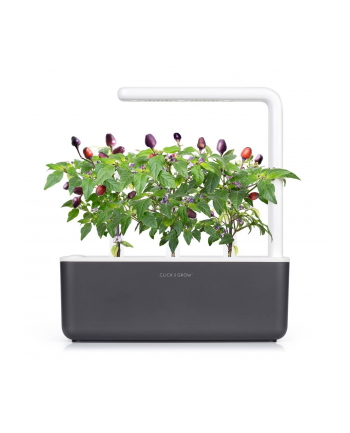 click and grow Click'Grow Kapsułki z nasionami Smart Soil Purpurowe Chili 3pak