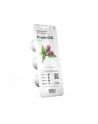click and grow Click'Grow Kapsułki z nasionami Smart Soil Purpurowe Chili 3pak - nr 5