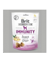 Przysmak Brit Care Dog Immunity Insect 150g - nr 1