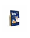 Karma BRIT Dry Premium Adult z łososiem 1 5kg - nr 3