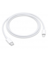 Apple USB-C to Lightning Cable (1 m) - nr 12