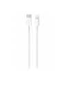 Apple USB-C to Lightning Cable (1 m) - nr 2