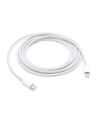 Apple USB-C to Lightning Cable (2 m) - nr 10