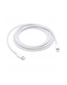 Apple USB-C to Lightning Cable (2 m) - nr 19