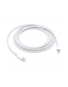 Apple USB-C to Lightning Cable (2 m) - nr 19