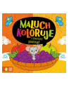 Książka Maluch koloruję i ćwiczy pamięć. ZIELONA SOWA - nr 1