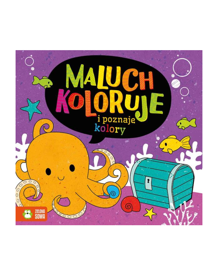 Książka Maluch koloruję i poznaje kolory. ZIELONA SOWA główny