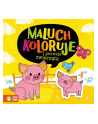 Książka Maluch koloruję i poznaje zwierzęta. ZIELONA SOWA - nr 1