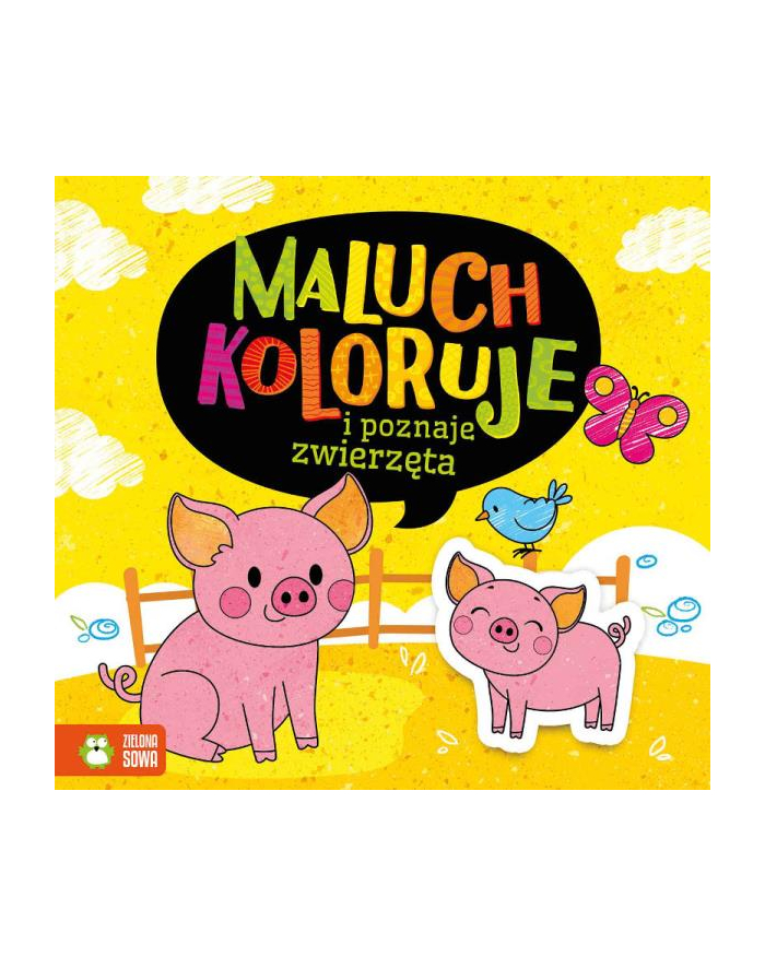 Książka Maluch koloruję i poznaje zwierzęta. ZIELONA SOWA główny