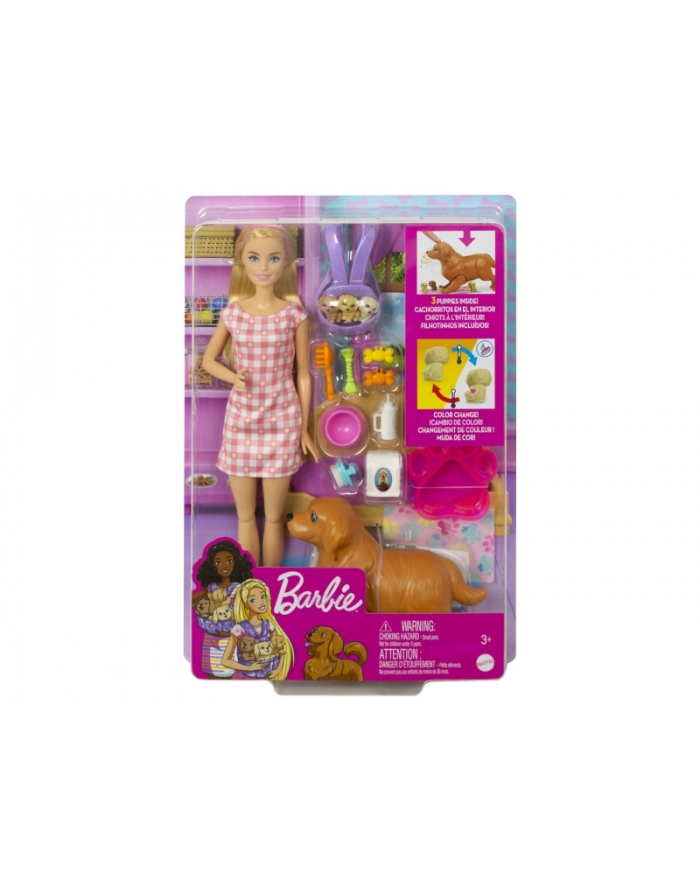 Barbie Narodziny piesków zestaw HCK75 p4 MATTEL główny