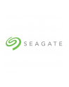 seagate Dysk IronWolf 10TB 3,5 256MB ST10000VN000 - nr 17