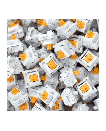 Glorious PC Gaming Race Panda Switches (36 pcs)
